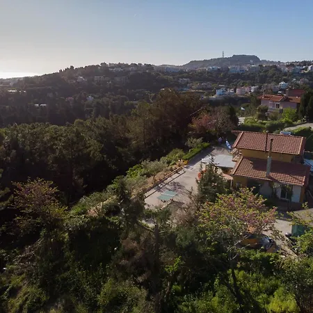 Rene Koskinou (Rhodes)