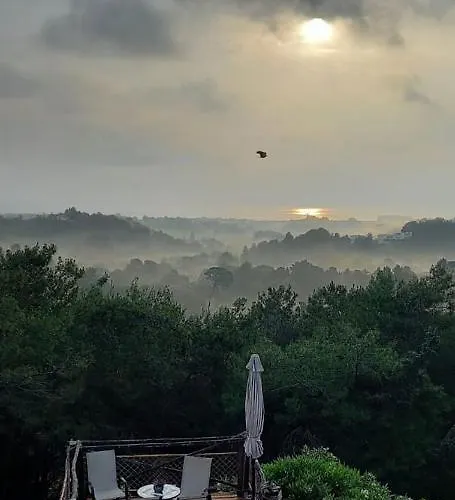 Villa Rene Koskinou (Rhodes)
