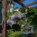 Villa Rene