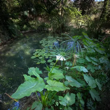 Rene * Коскину