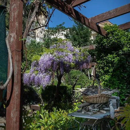 Villa Rene
