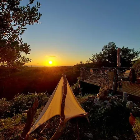 Rene Вилла Коскину